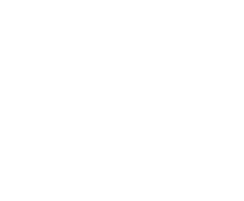 Silver Cross Logo